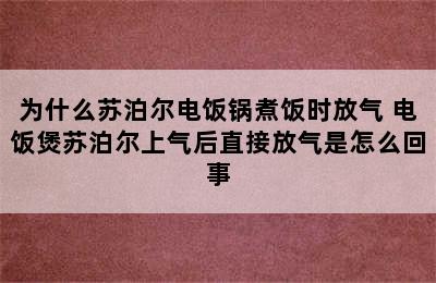 为什么苏泊尔电饭锅煮饭时放气 电饭煲苏泊尔上气后直接放气是怎么回事